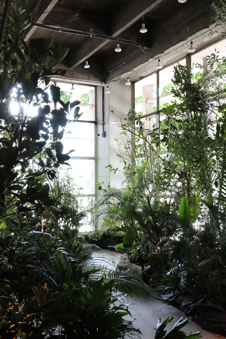 Alessandra Cardim e Ricardo Cardim apresentaram o conceito de floresta de bolso na mostra paulistana.